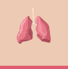 lungs